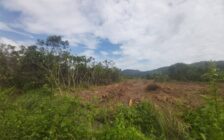 Balik Pulau First Grade Flat Land, RM...