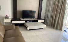 Summer Place, Jelutong, Karpal Singh Drive