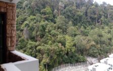 For Sale The Straits Regency Condominiums Tanjung Bun...