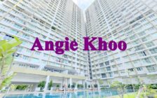 [WORTHY BUY] 2 car park Sungai Ara Nice 970sqft Fairv...