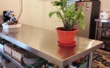 For Sale Jelutong Park Apartment Jelutong 11600 Pulau...