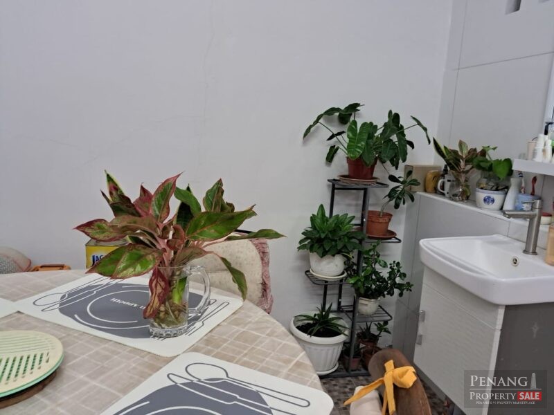 Island Glades , Lorong Delima Greenlane 11600 Jeluton...