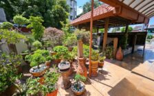 For Sale Double Storey Terrace House End Lot Taman Ip...