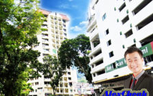 Taman Lone Pine , Lebuh Rambai 11500 Ayer Itam Pulau ...