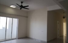 H20 Condo, Jelutong