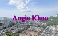 970sqft 2 car park Sungai Ara Cityview Fairview resid...
