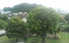 For Sale Triple Storey Semi Detached House Tanjung Vi...