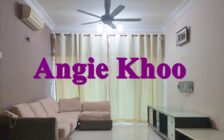 Regency Heights FURNISHED AND RENOVATED 2 Car Park Su...