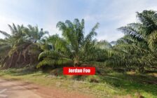 Oil Palm Estate Sungkap Para near Sungai Petani 103 A...