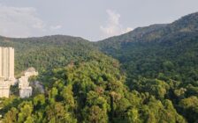 For Sale Eden Seaview Condominiums Batu Ferringhi 110...