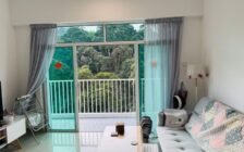 Setia Pinnacle Condo (Sg Ara)
