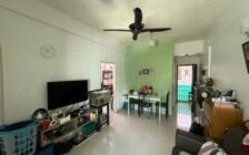 Permai Jaya @ Tanjong Bungah Nearby Tendy
