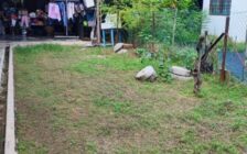 Lintang Kelicap Single Storey Semi-D, Sungai Ara