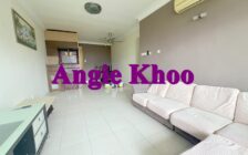 2 Car Park Sungai Ara 1258sf Regency Heights FURNISHE...