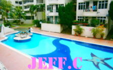 Leader Garden Condo Tanjung Bungah Renovat...