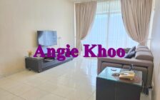 Regency Heights 1 Car Park Sungai Ara 1258sf FURNISHE...