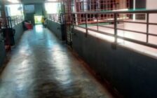 For Sale Taman Desa Sena Flat Tasek Gelugo...