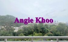 Regency Heights FURNISHED AND RENOVATED 2 Car Park Su...