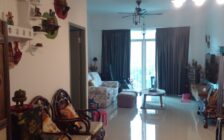 [Corner] Setia Pinnacle, Sungai Ara