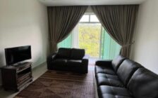 Setia Pinnacle, Sungai Ara