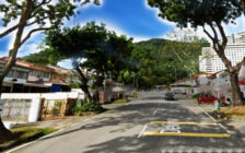 Island Glades, 2/S Terrace @ Lorong Delima, Greenlane...