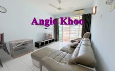 Regency Heights FURNISHED AND RENOVATED Sungai Ara 12...