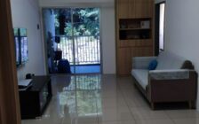 The Stone, Paya Terubong