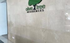 For Sale Olive Tree Residence Bayan Baru 11900 Pulau ...
