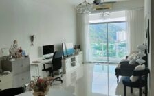 The Oasis Condo, Gelugor