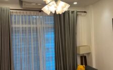 The Oasis Condo, Gelugor