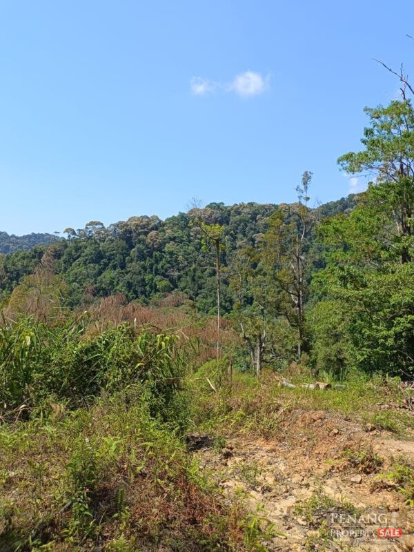 Ayer Itam Dam , Jalan Balik Pulau 11900 Ba...