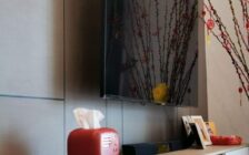 Artis 3 Condominium, Jelutong