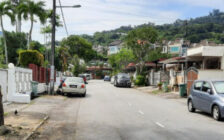 Lintang Sungai Ara, S/S Terrace @ Sungai Ara, Bayan L...