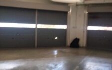 Golden Triangle 3rd Floor Shoplot, Sungai Ara