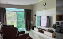 Setia Pinnacle, Sungai Ara