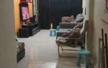 Serina Bay near Karpal Singh Drive 900sqft Fully Furn...