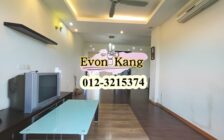 Vistaria Condominium @ Sungai Ara 1050SF Fully Renova...