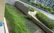 For Sale Garden Unit Tropicana Bay Residence Bayan Le...