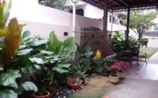 Semi D, Persiaran Minden Gelugor