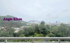 Regency Heights FURNISHED AND RENOVATED 2 Car Park Su...