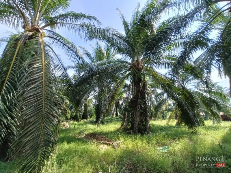 Kawasan Perindustrian Valdor , Batu Kawan Land