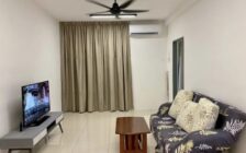 The Stone Condo, Paya Terubong