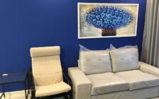 Tri Pinnacle, fully renovated and furnished, high floor