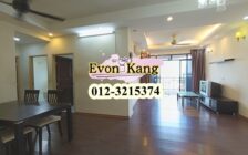 Vistaria Condominium @ Sungai Ara 1050SF Renovated Un...