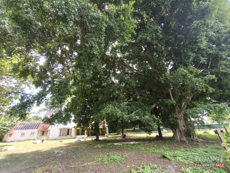 Western Avenue Bungalow Land , Lebuh Western Georgetown