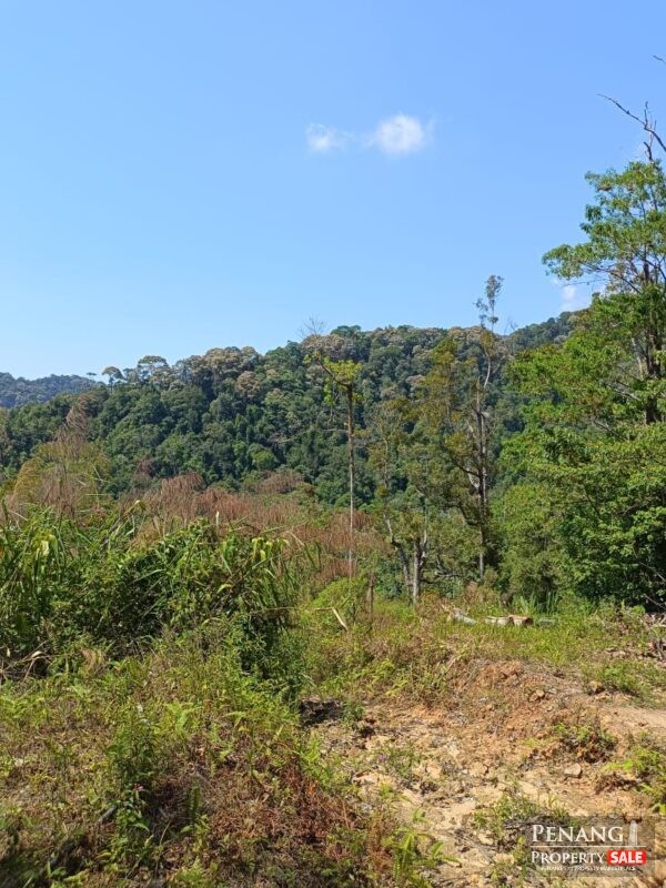 Land @ Ayer Itam Dam, Jalan Balik Pulau, A...